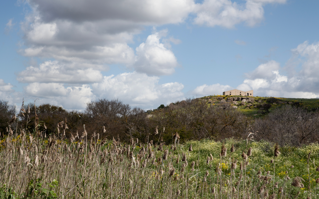 To The Southwest: Digging deep into Belìce Valley